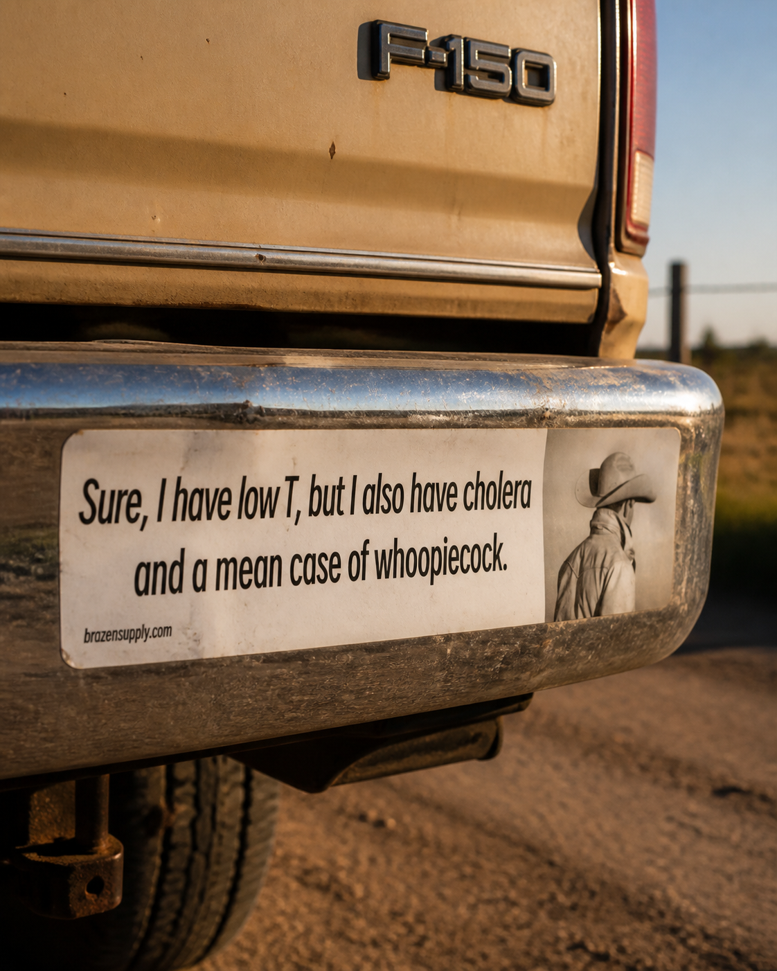 THE LOW T STICKER