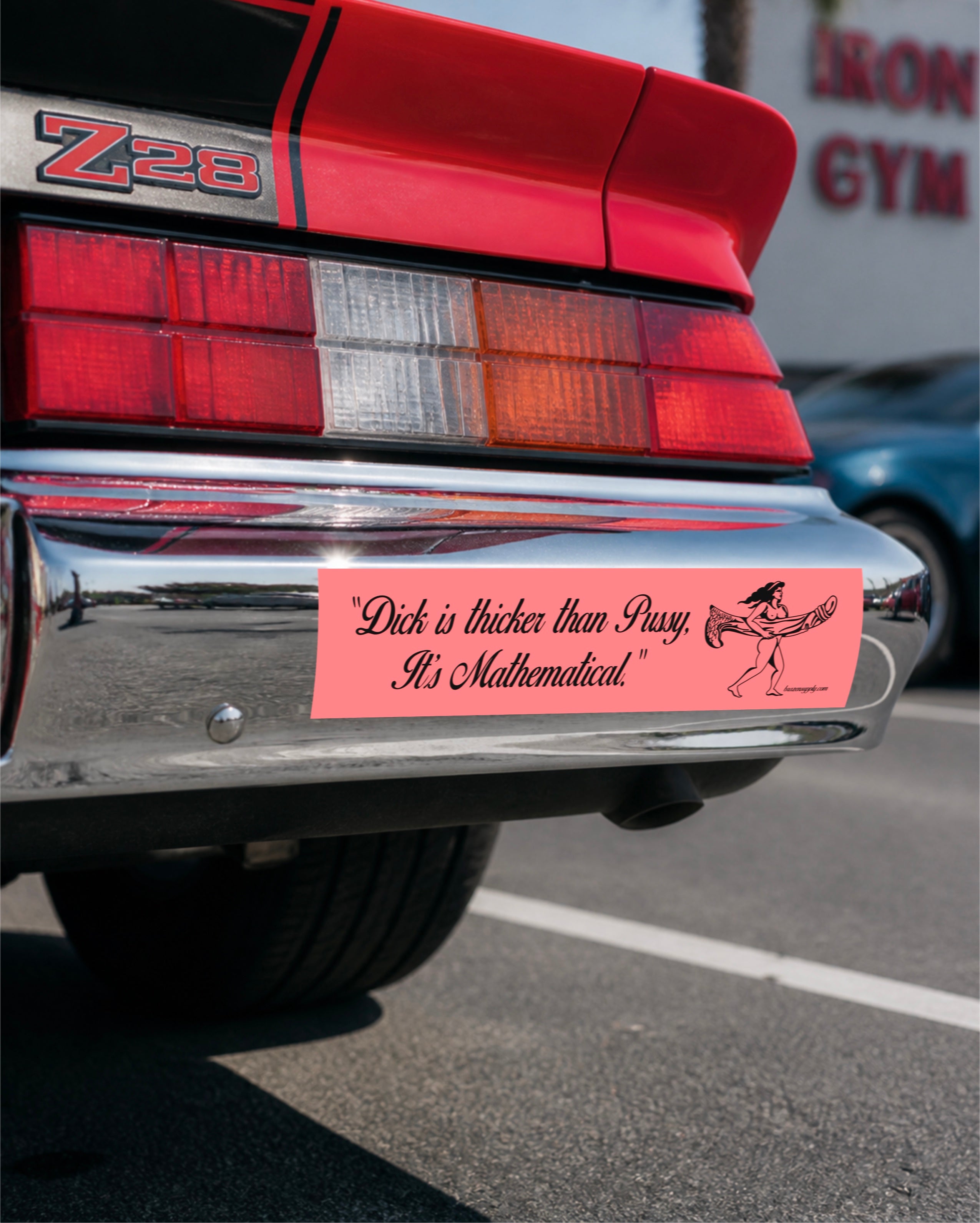 THE MATH EQUATION STICKER